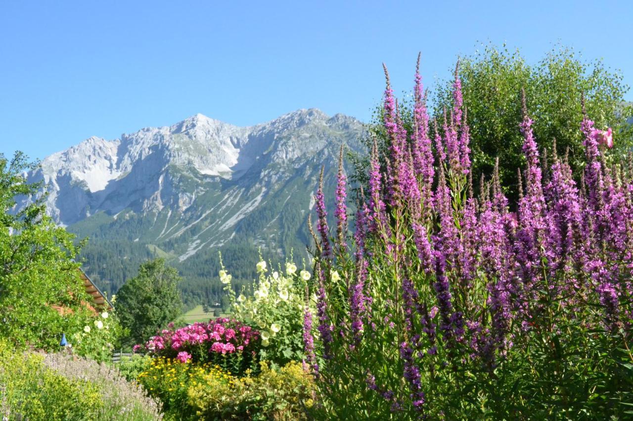 Pension Moslehnerhof Ramsau am Dachstein Exterior foto