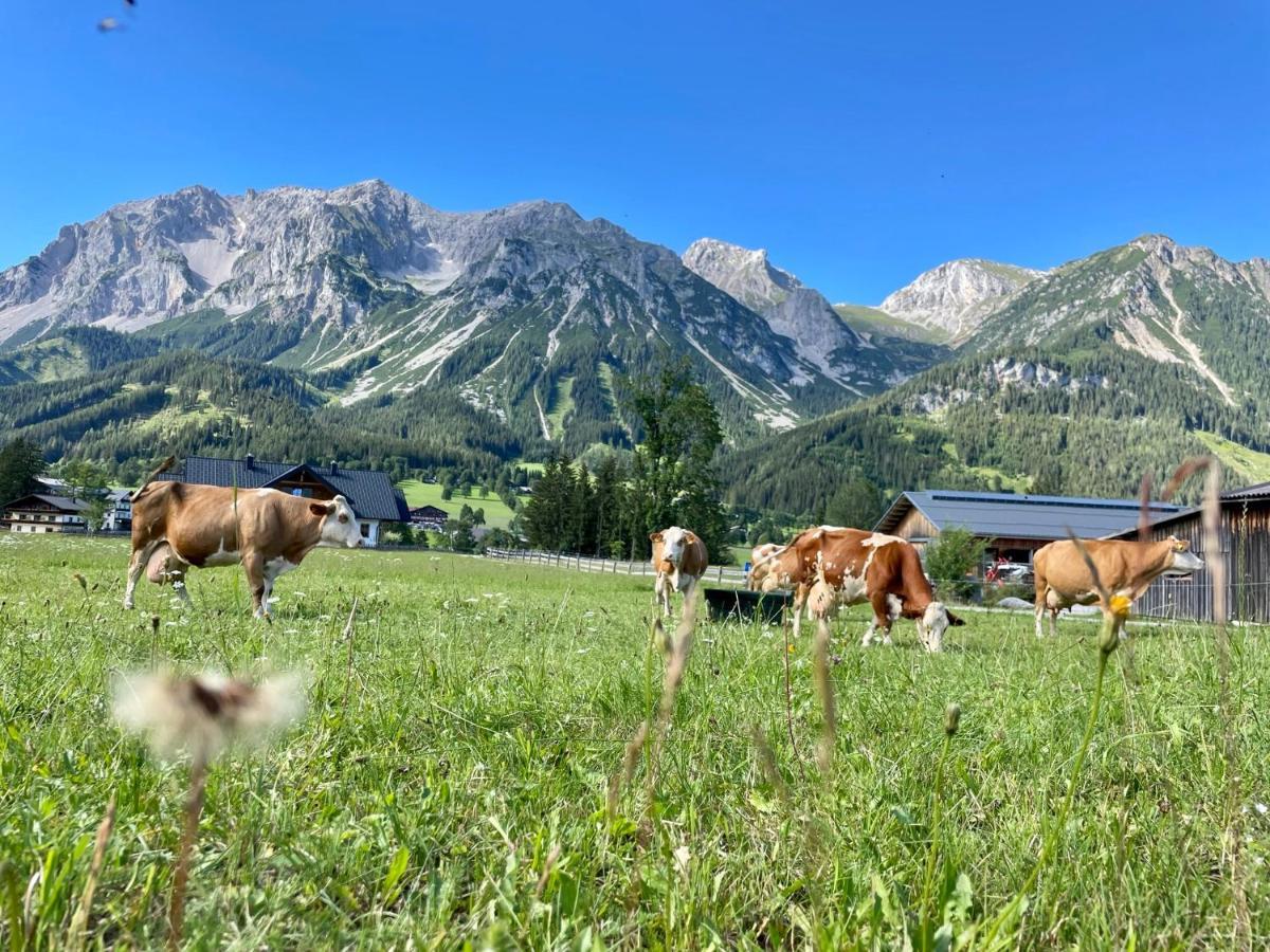 Pension Moslehnerhof Ramsau am Dachstein Exterior foto